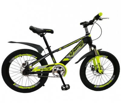 Biciklo XTH-ZS20-8606107149600